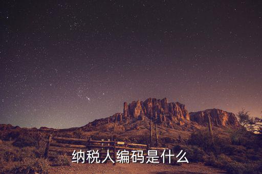 納稅人國(guó)稅編碼是什么意思，納稅人編碼是什么