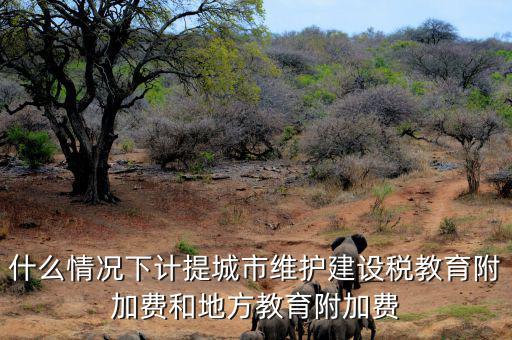 什么情況下免交地方教育稅附加，什么情況下計提城市維護建設(shè)稅教育附加費和地方教育附加費