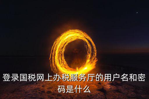 登錄國(guó)稅網(wǎng)上辦稅服務(wù)廳的用戶(hù)名和密碼是什么
