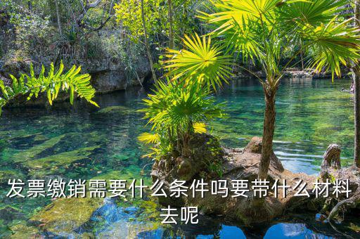 票證結(jié)報(bào)繳銷(xiāo)包括什么，去國(guó)稅局做稅票結(jié)報(bào)要帶哪些東西