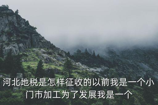 河北省地稅報(bào)稅征收方式是什么，河北地稅申報(bào)個(gè)人所得稅