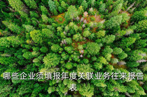 哪些企業(yè)須填報年度關(guān)聯(lián)業(yè)務往來報告表