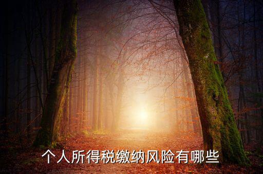 所得稅申報時有什么風險提示，個人所得稅繳納風險有哪些