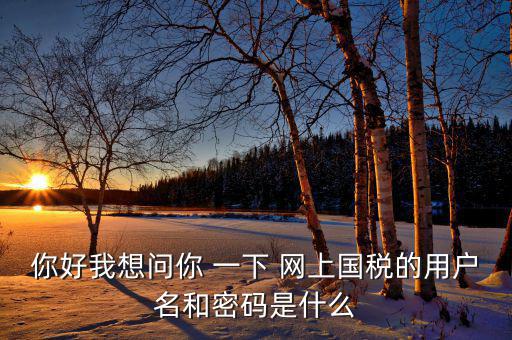 電子稅務(wù)的賬號(hào)密碼是什么，你好我想問(wèn)你 一下 網(wǎng)上國(guó)稅的用戶名和密碼是什么