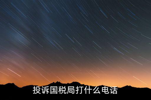 投訴國稅局 打什么電話，稅務(wù)局什么舉報電話呀居然沒人接太可惡了