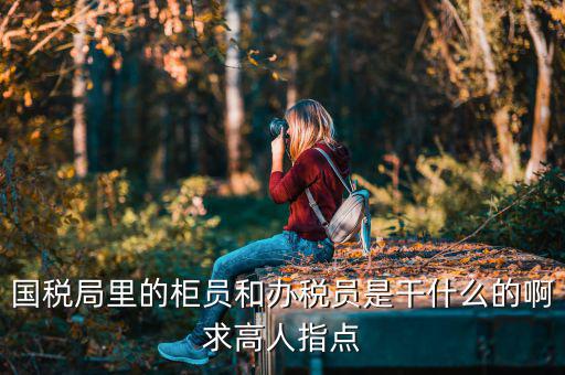 國(guó)稅局導(dǎo)稅員干什么的，國(guó)稅局里的柜員和辦稅員是干什么的啊求高人指點(diǎn)