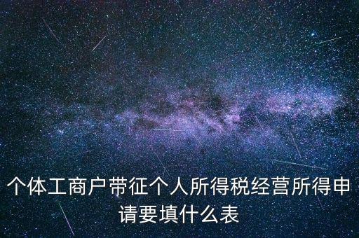 個體所得稅填什么表，個稅表怎么填