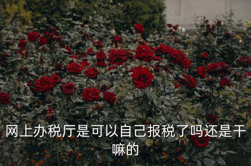 網上辦稅廳是可以自己報稅了嗎還是干嘛的