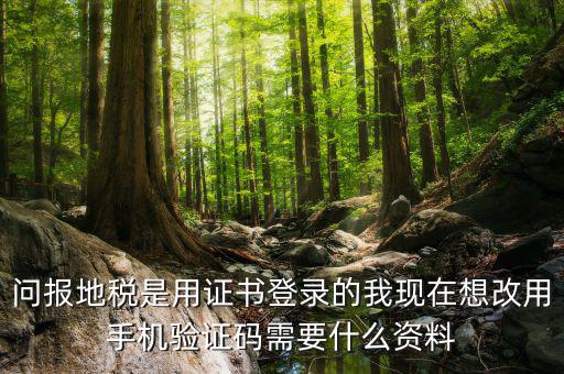 湖南地稅什么叫證書登陸，地稅數(shù)字證書是什么