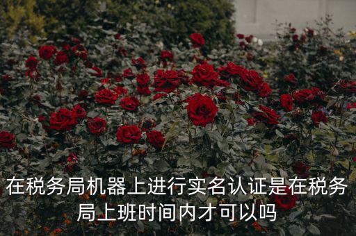 在稅務(wù)局機(jī)器上進(jìn)行實名認(rèn)證是在稅務(wù)局上班時間內(nèi)才可以嗎
