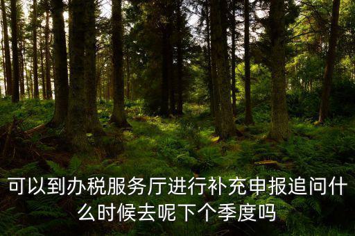 據(jù)實申報是按照什么申報，可以到辦稅服務(wù)廳進行補充申報追問什么時候去呢下個季度嗎