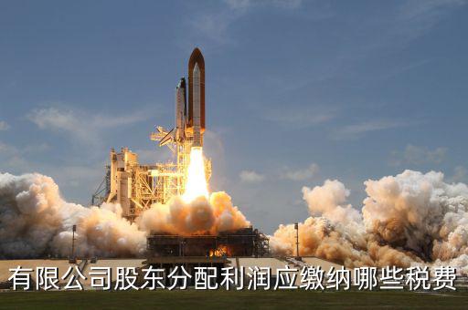 公司股東需要交什么稅，有限公司股東分配利潤(rùn)應(yīng)繳納哪些稅費(fèi)