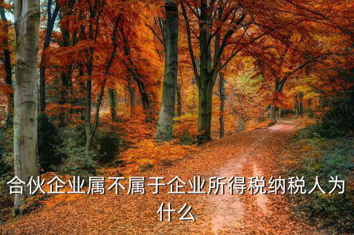 合伙企業(yè)為什么是個稅納稅人，合伙企業(yè)屬不屬于企業(yè)所得稅納稅人為什么