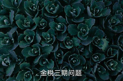 金稅三期什么時候上限的，2016年金稅三期上線那金稅三期到底是啥呢