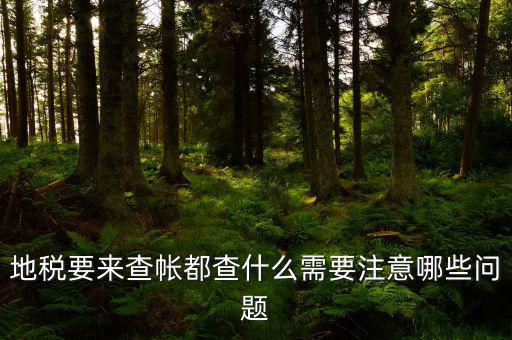 地稅主要查什么，地稅查賬一般都查哪些方面呢