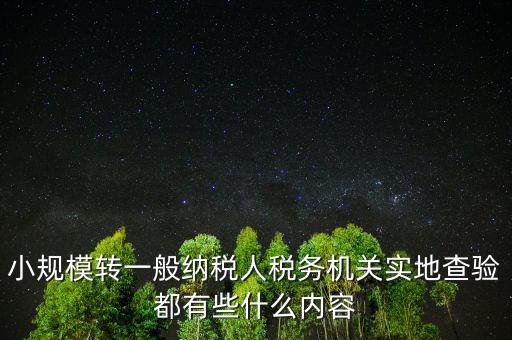 小規(guī)模轉(zhuǎn)一般納稅人稅務機關實地查驗都有些什么內(nèi)容