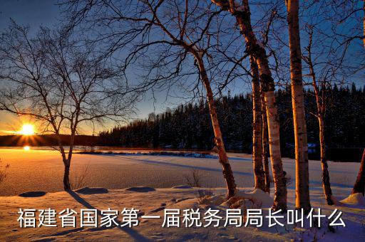 福建省國(guó)家第一屆稅務(wù)局局長(zhǎng)叫什么
