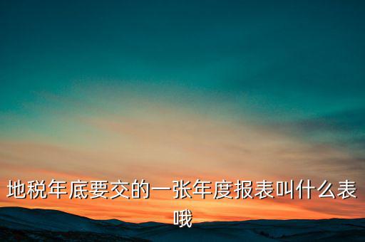 地稅年底要交的一張年度報表叫什么表哦