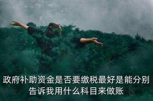 政府補貼交什么稅，關(guān)于政府補助的納稅問題 請高手來回答啊 謝謝