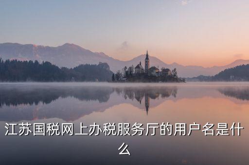 網(wǎng)上辦稅平臺帳號是什么，地稅網(wǎng)上申報用什么帳號