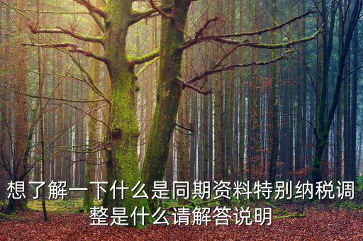 關(guān)聯(lián)申報(bào)同期資料是什么，想了解一下什么是同期資料特別納稅調(diào)整是什么請(qǐng)解答說(shuō)明