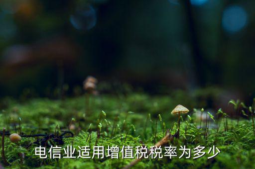 電信服務(wù)什么時候繳納增值稅，電信業(yè)適用增值稅稅率為多少