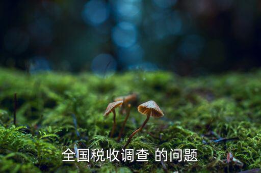 全國稅收調(diào)查是什么呢，全國稅收調(diào)查表說明