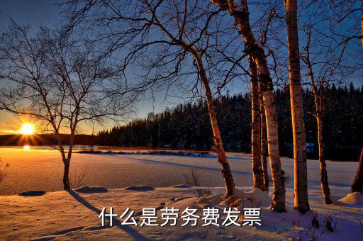 勞務(wù)費發(fā)票是什么發(fā)票，什么是勞務(wù)費發(fā)票