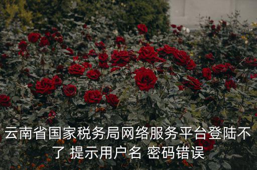 云南稅控服務(wù)平臺(tái)的網(wǎng)址是什么，云南國稅開票系統(tǒng)網(wǎng)址