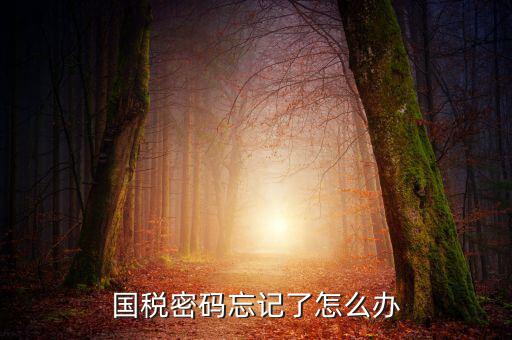 國稅局重置密碼需要帶什么資料，國稅修改過登錄密碼 又忘記了怎么辦