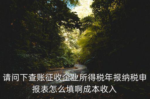企業(yè)所得稅申報查賬是什么表，剛注冊了一個小規(guī)模的公司企業(yè)所得稅是查帳征收企業(yè)所得稅報表