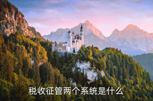 稅務(wù)什么叫核心征管系統(tǒng)，稅收征管兩個系統(tǒng)是什么