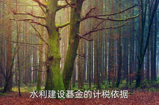 西安水利基金的計(jì)稅依據(jù)是什么，水利建設(shè)碁金的計(jì)稅依據(jù)