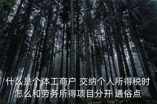 什么叫個體工商戶經(jīng)營所得，個體工商戶的生產(chǎn)經(jīng)營所得是指什么