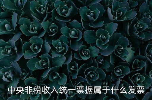 非稅發(fā)票是什么，中央非稅收入統(tǒng)一票據(jù)屬于什么發(fā)票