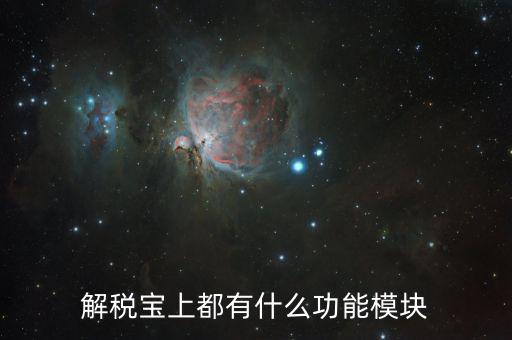 稅寶是什么意思，解稅寶上都有什么功能模塊