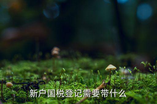 稅務(wù)新開(kāi)戶需要帶什么東西，新戶國(guó)稅登記需要帶什么