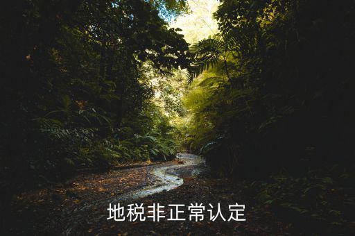 地稅局發(fā)布公告非正常戶是什么意思，地稅非正常認(rèn)定