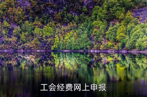 工會經(jīng)費在什么地方申報，有關工會經(jīng)費申報的問題