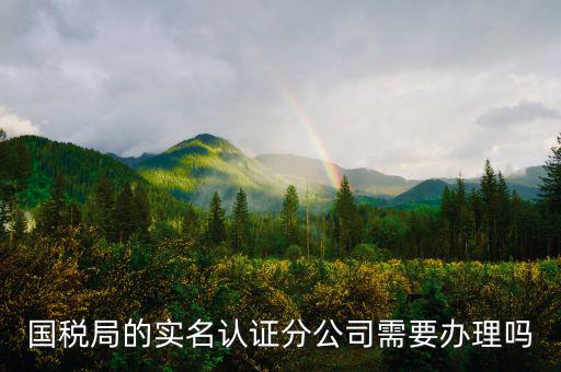 四川國稅局實名認(rèn)證需要什么手續(xù)，在國稅局辦理法人實名制認(rèn)證要帶什么材料