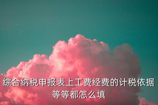 綜合納稅申報(bào)表上工費(fèi)經(jīng)費(fèi)的計(jì)稅依據(jù)等等都怎么填