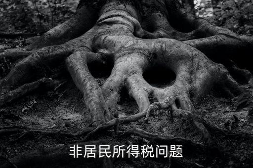 有什么是非居民企業(yè)，個(gè)私企業(yè)的范圍除了個(gè)體戶還包括哪些性質(zhì)的企業(yè)