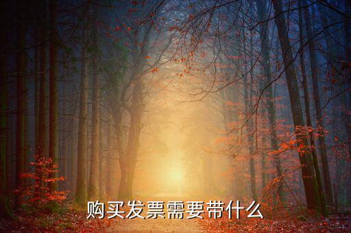 長春購置發(fā)票需要什么資料，初次購買發(fā)票要什么資料