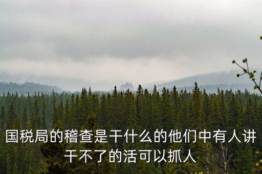 國稅局查什么的，國稅局的稽查是干什么的他們中有人講干不了的活可以抓人