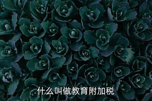 教育附加什么意思，教育費(fèi)附加代表什么意思