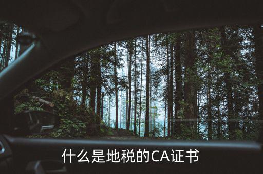 什么叫地稅CA用戶，什么是CA用戶