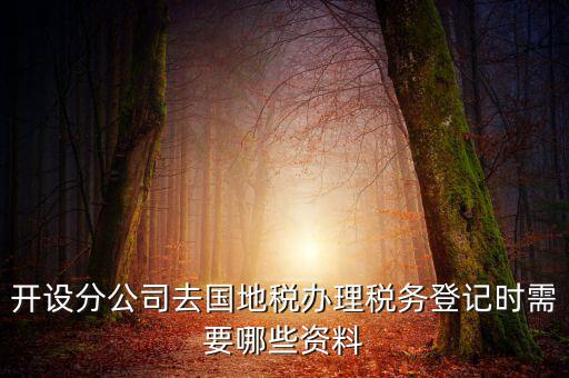 分公司地稅辦理需要什么材料，辦理分公司的稅務(wù)登記證需要準備哪些資料