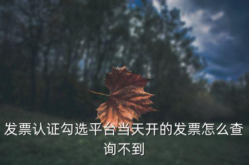 為什么網(wǎng)頁(yè)發(fā)票查詢(xún)不了，開(kāi)了發(fā)票為什么在國(guó)稅官網(wǎng)上查詢(xún)不到