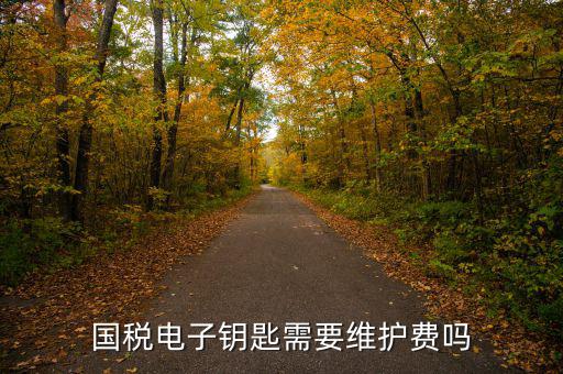 辦稅鑰匙是什么意思，網(wǎng)上報稅請插入電子令牌是什么意思
