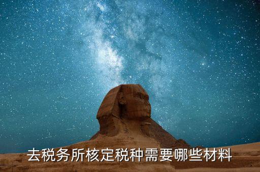 國(guó)稅票種核定需要什么，哪些情況下要進(jìn)行國(guó)稅票種核定